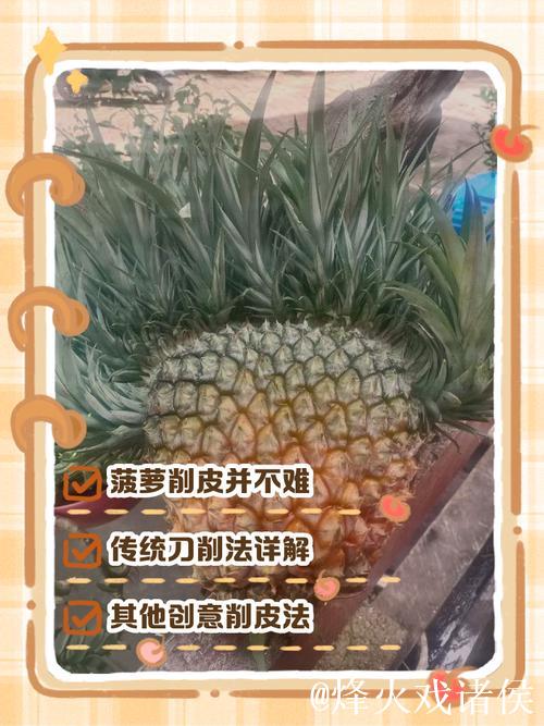 如何轻松去菠萝皮—详细视频教程